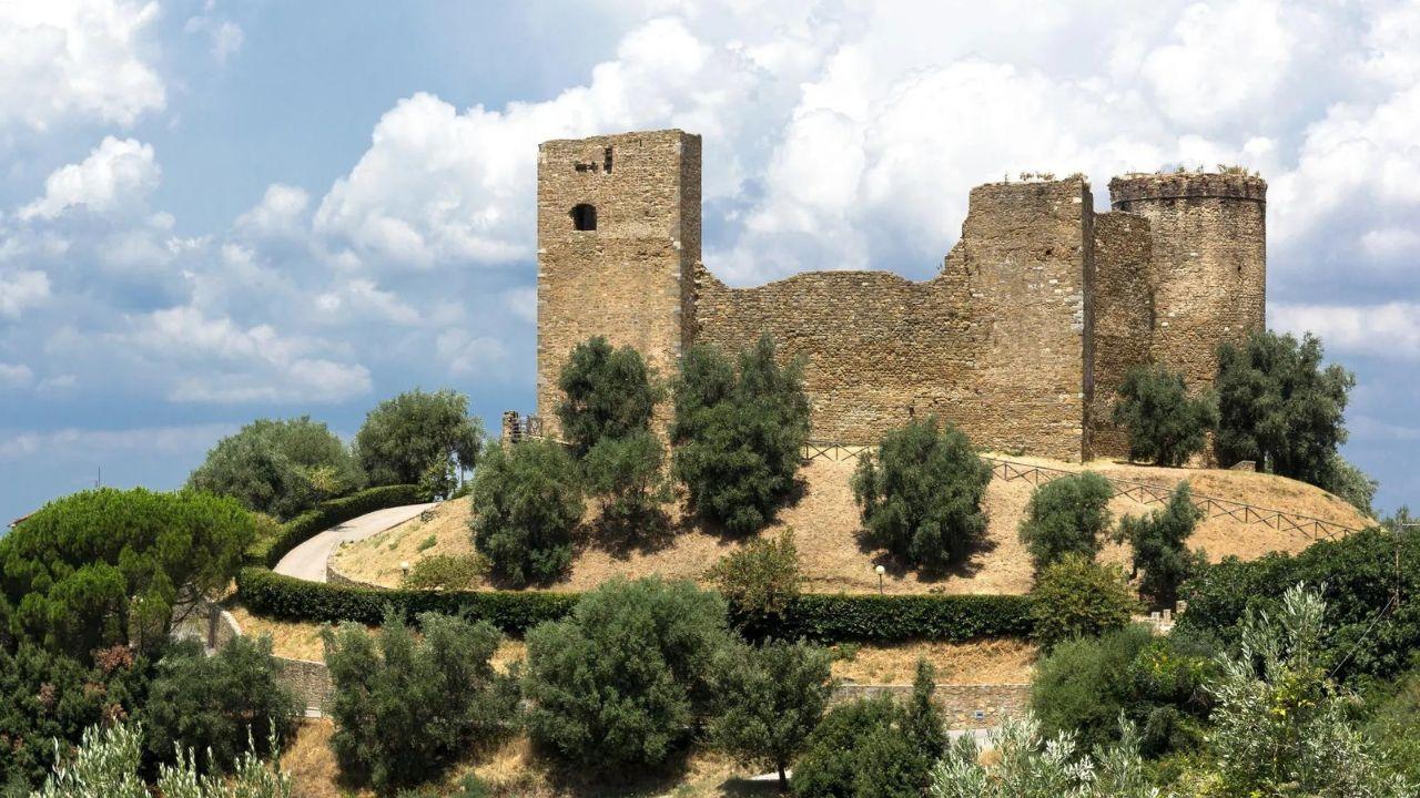 
	Il Castello circondato dagli olivi

