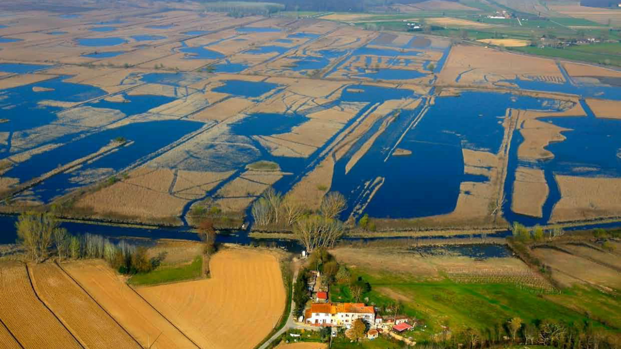 Una veduta del Padule