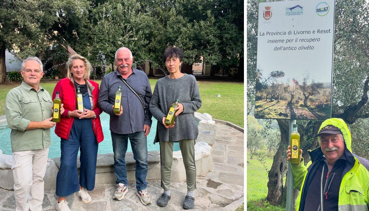 L’oliveta del ’700 e il suo primo “oro”: a Livorno ecco l’olio della villa Maurogordato