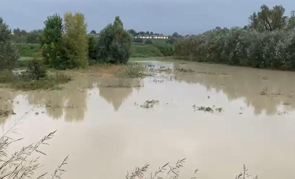 «La cassa d’espansione del Panaro a San Cesario? Non è stata collaudata»
