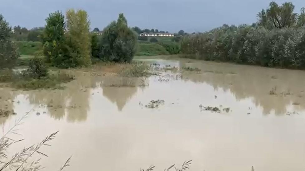 «La cassa d’espansione del Panaro a San Cesario? Non è stata collaudata»