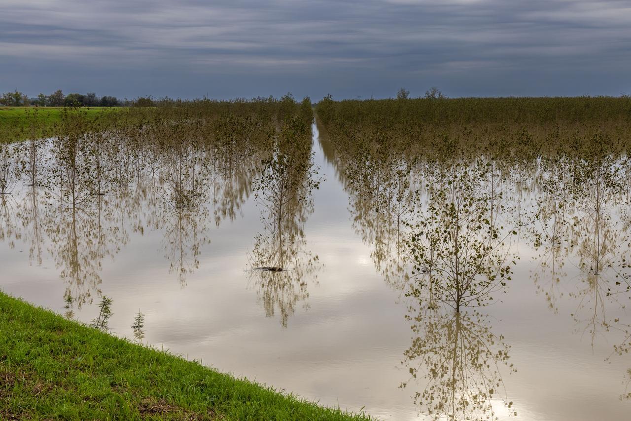 Danni da maltempo e rischio alluvione, tavolo agricoltura a Ferrara