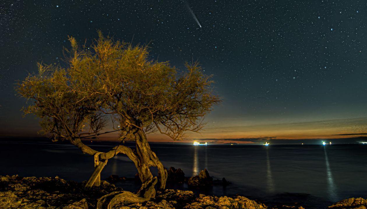 Livorno, il cielo di Antignano con la cometa e l’iconica tamerice