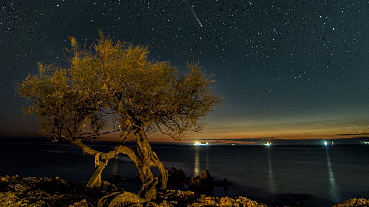 Livorno, il cielo di Antignano con la cometa e l’iconica tamerice