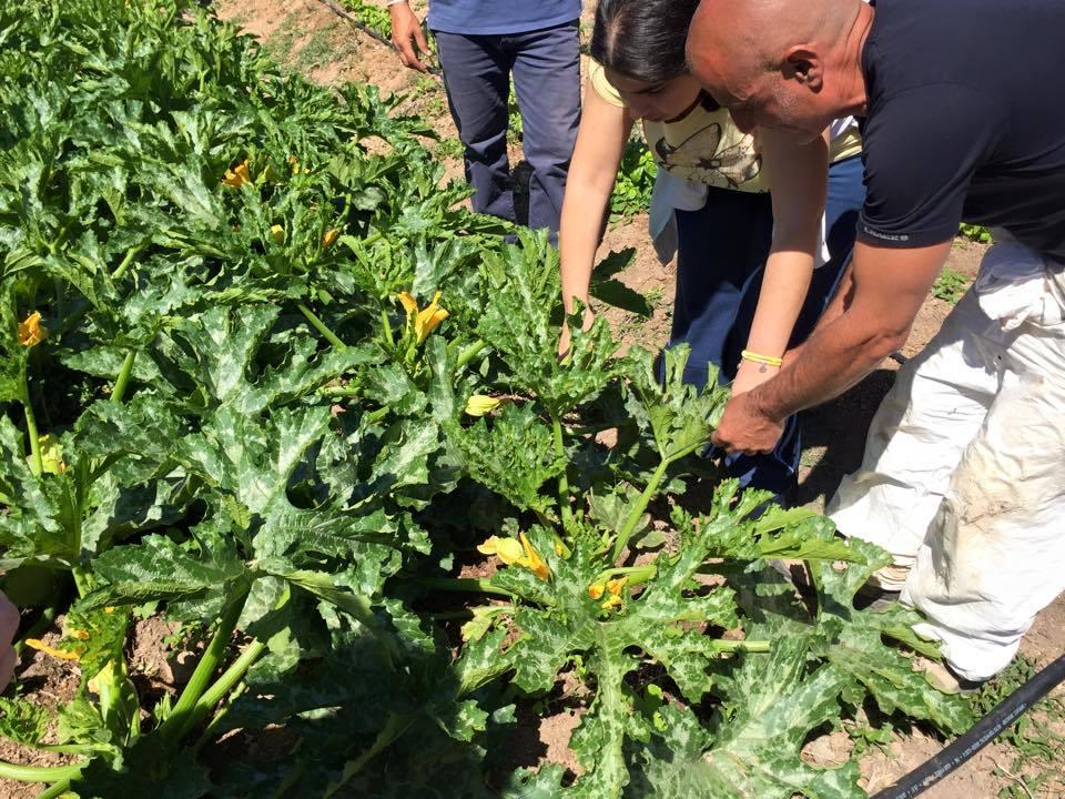 Anche Oristano avrà il suo orto sociale e della sostenibilità