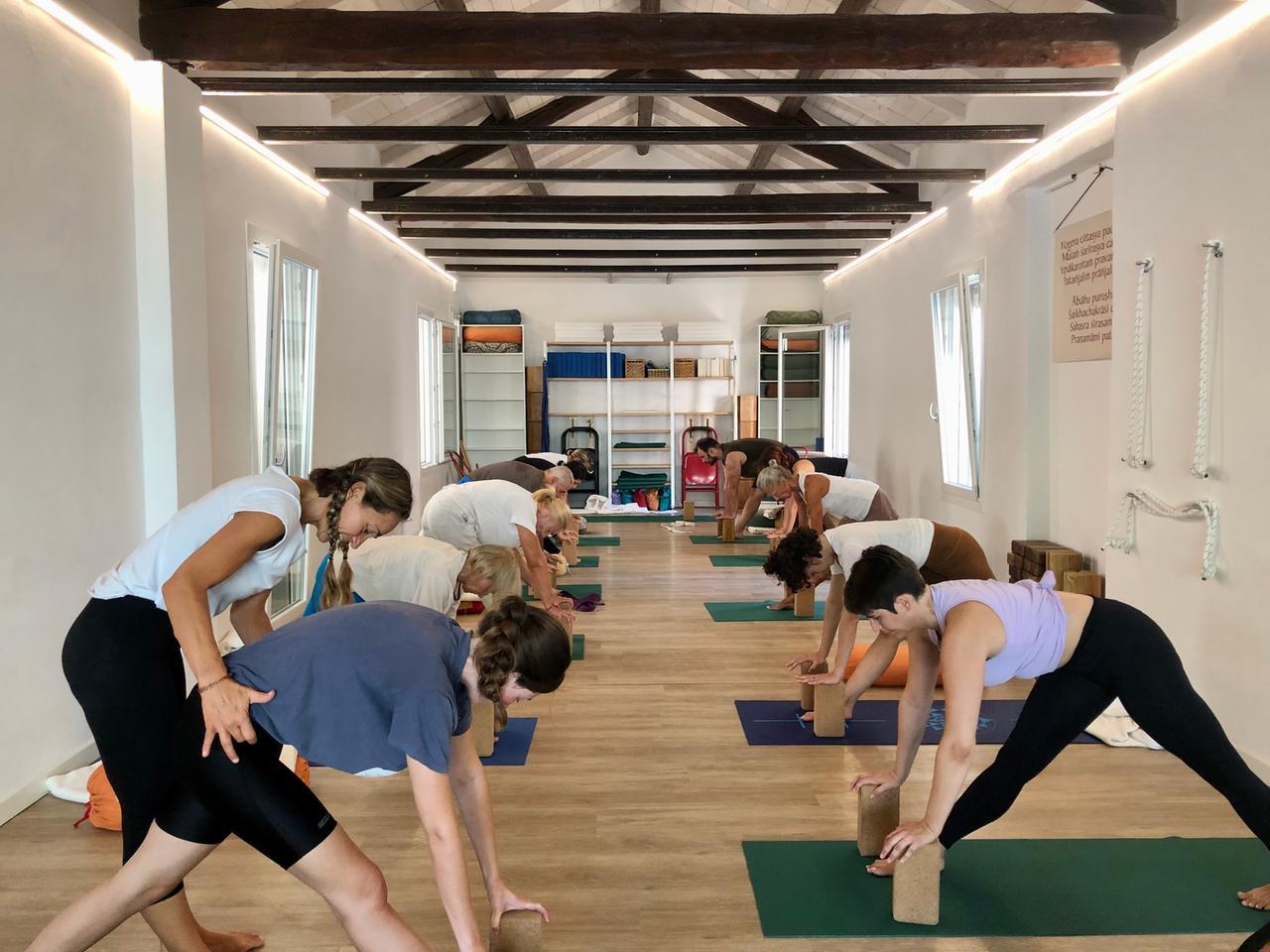 Yoga, Dharma è un’oasi di pace nel cuore della città