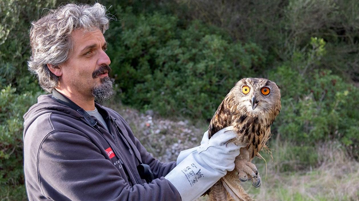  Il rilascio, foto di Gabriele Grilli 