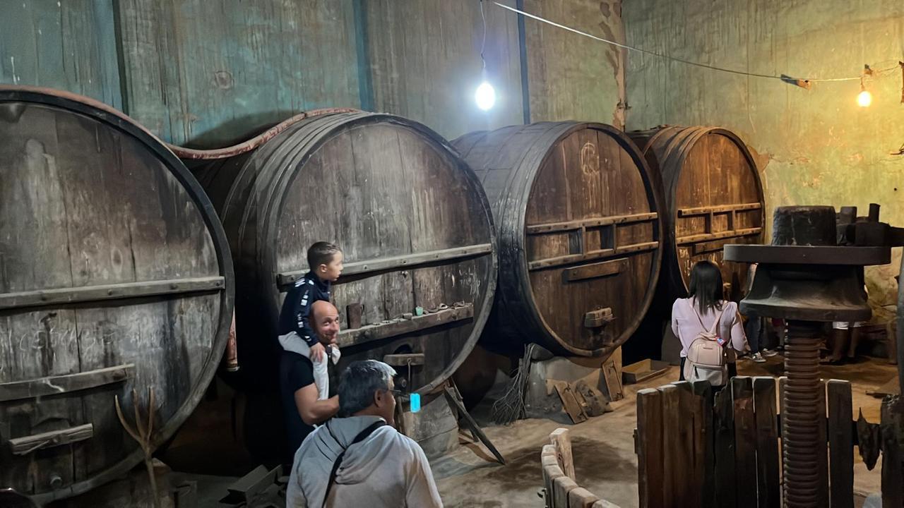 Comincia il Festival della malvasia: tre giorni di degustazioni ed eventi