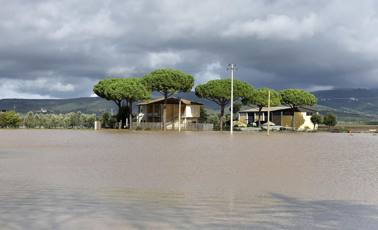 
	L'alluvione a Venturina del 17 ottobre (foto Paolo Barlettani)

