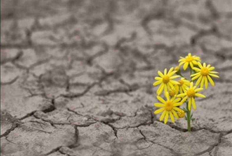 “Desaparecidos sardi in Argentina”, parte il progetto per ricostruire la storia dell’emigrazione sarda