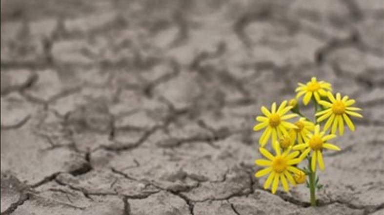 “Desaparecidos sardi in Argentina”, parte il progetto per ricostruire la storia dell’emigrazione sarda