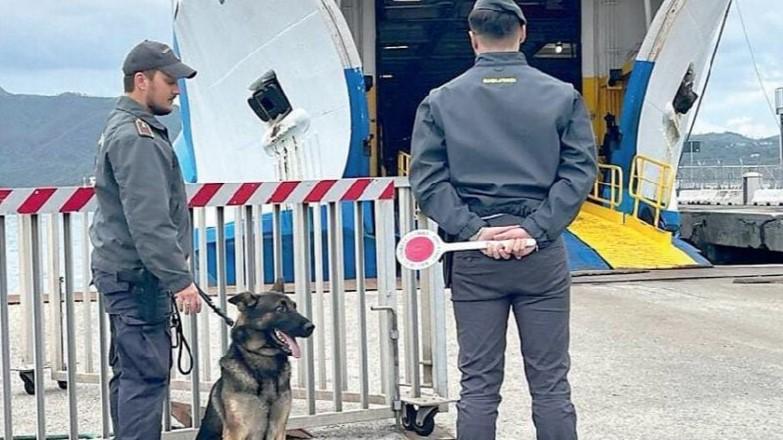 Al porto di Livorno arrestato autotrasportatore sardo diretto a Olbia con 23 chili di cocaina