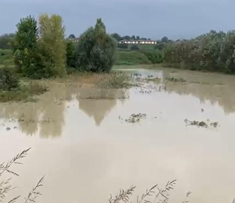 Cassa d’espansione del Panaro a San Cesario, Aipo: «Il collaudo? Lo completeremo. Ma funziona»