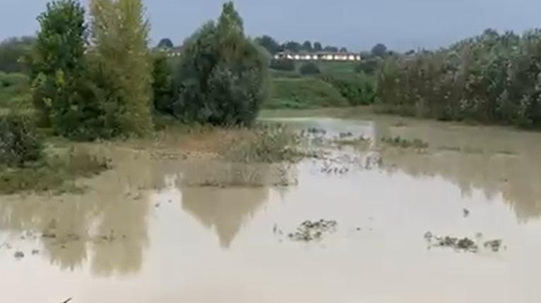 Cassa d’espansione del Panaro a San Cesario, Aipo: «Il collaudo? Lo completeremo. Ma funziona»