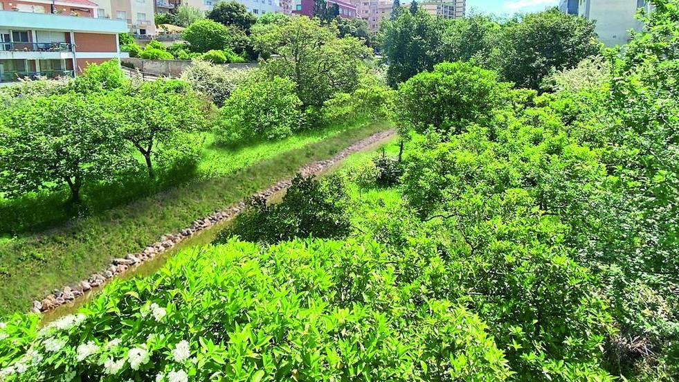 Sassari, Giuseppe Mascia ai comitati: «Io il canalone non lo faccio»