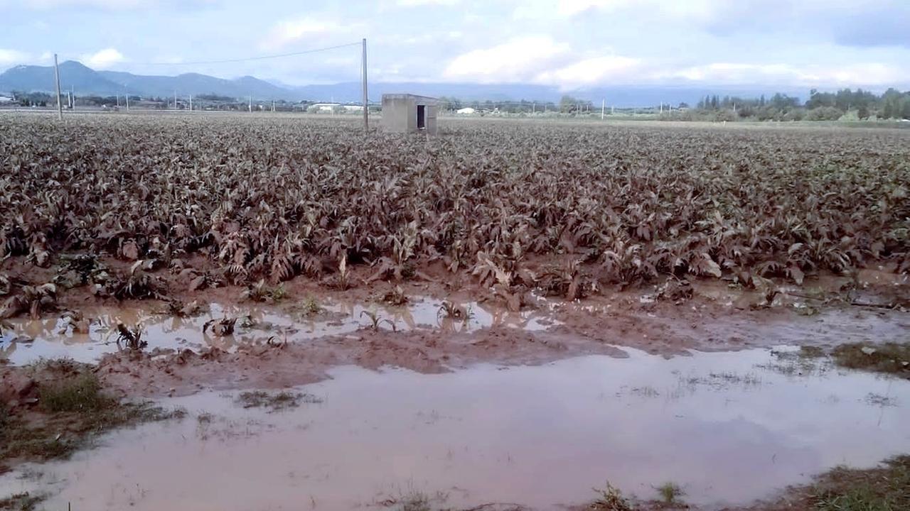 Maltempo, Cia Sardegna: «Siamo accanto alle aziende agricole danneggiate»