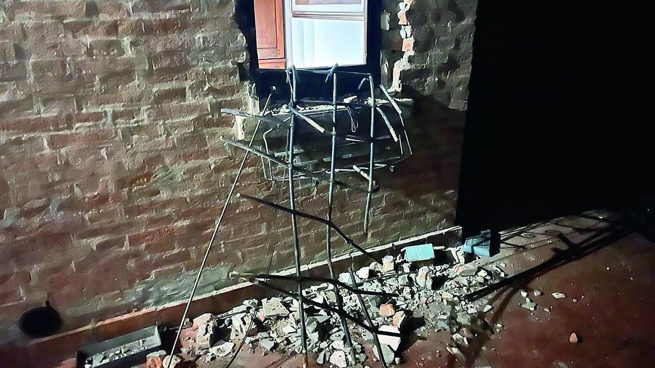 Ferrara, va a tartufi e trova una cassaforte piena di armi