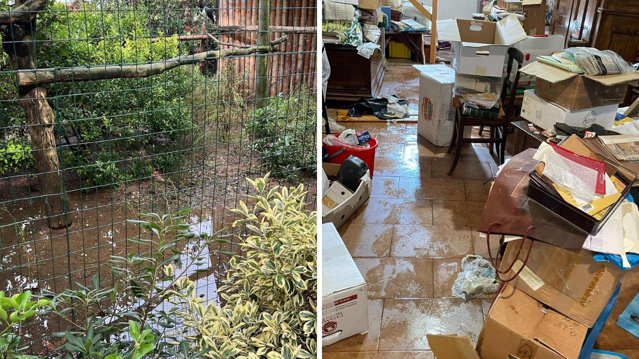 Maltempo, animali sott’acqua al Gallorose: «Ecco come li abbiamo salvati»