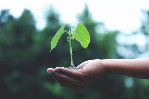 
	Depavimentare &egrave; importante per ridurre i rischi di catastrofi

