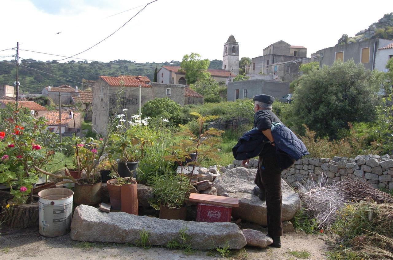 Cortes a Lollove, ladro approfitta del pienone e ruba un’antica zuccheriera