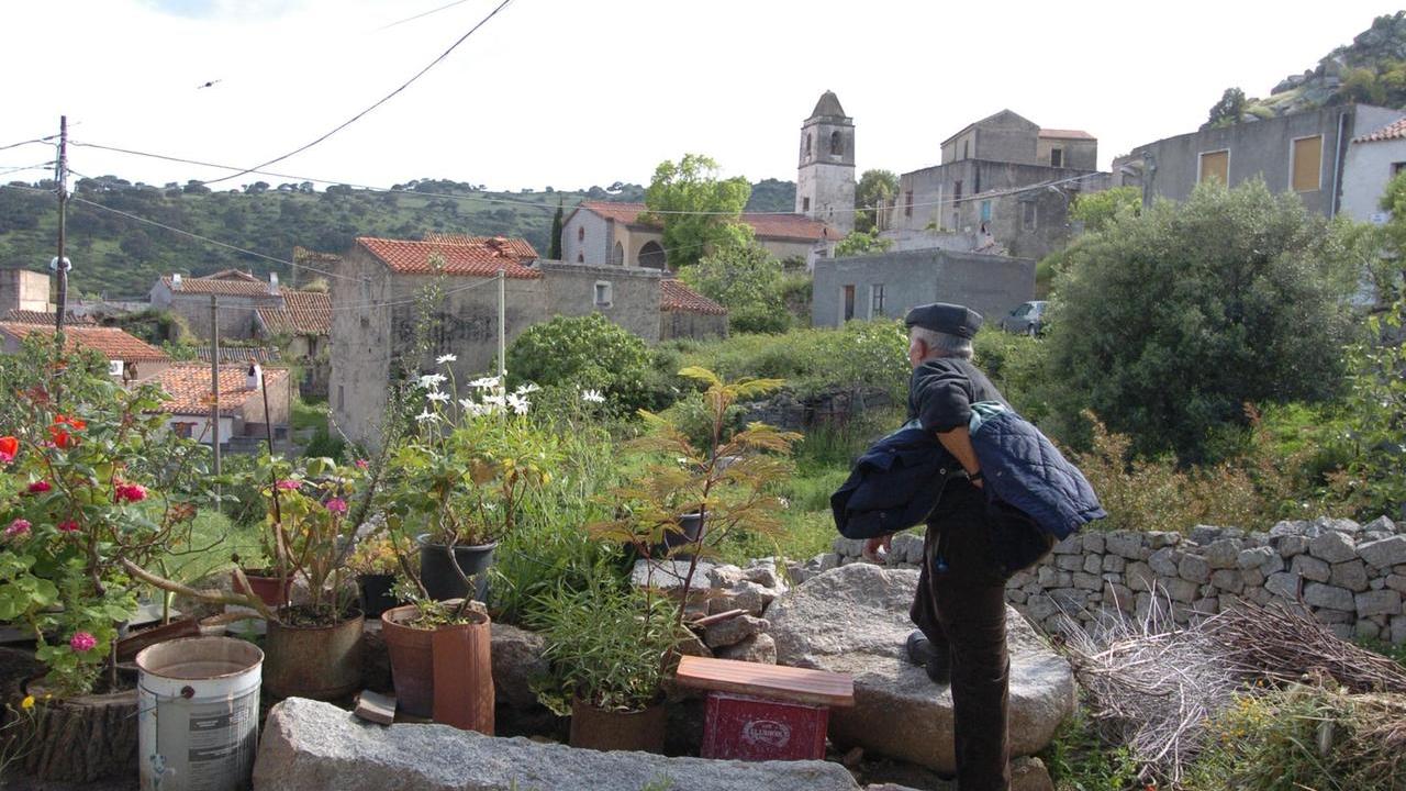 Cortes a Lollove, ladro approfitta del pienone e ruba un’antica zuccheriera
