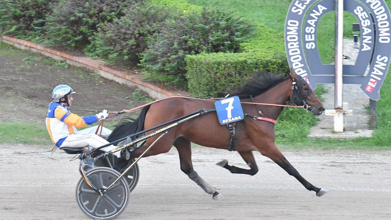 Minnucci che vince il Premio Davide Baldi