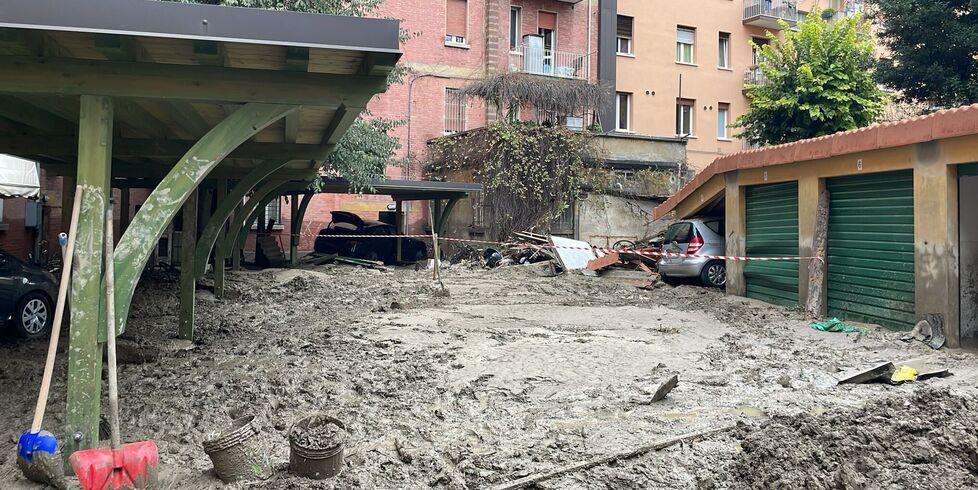 Sciacalli trovati tra le macerie dell’alluvione nel Bolognese: arrivavano dalla Toscana