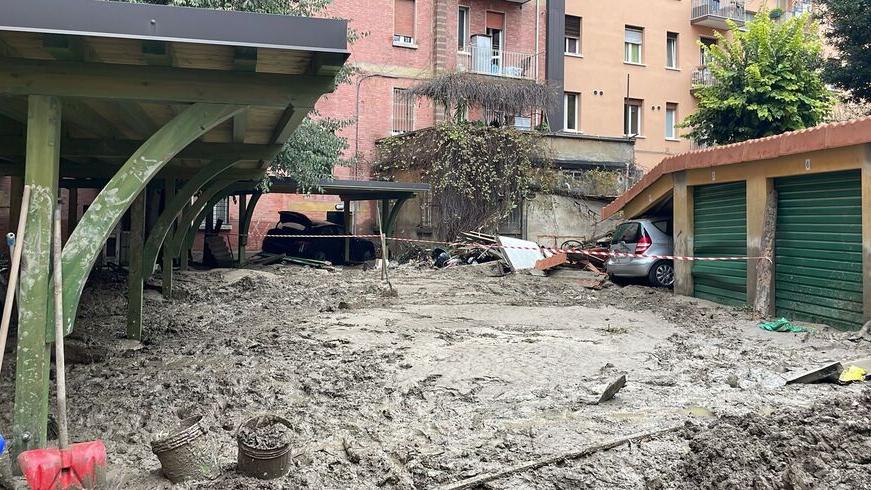 Sciacalli trovati tra le macerie dell’alluvione nel Bolognese: arrivavano dalla Toscana