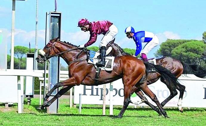 Galoppo, Tore Sulas vince con Mr. Darcy il cavallo di Massimiliano Allegri