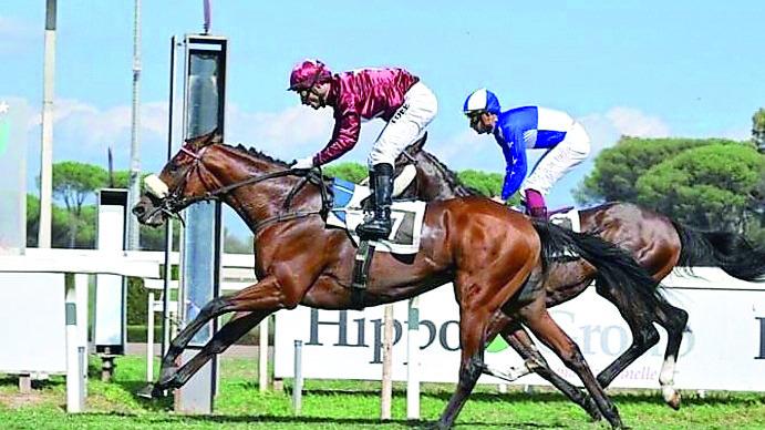 Galoppo, Tore Sulas vince con Mr. Darcy il cavallo di Massimiliano Allegri