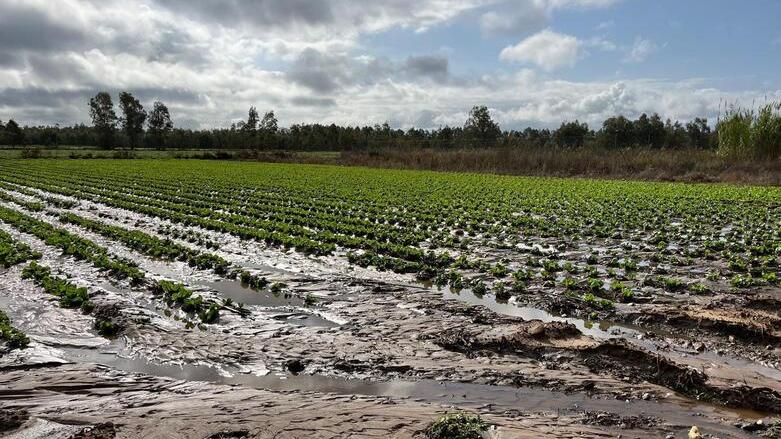 Alluvione sud Sardegna: «Dalla Regione subito 5 milioni di euro»