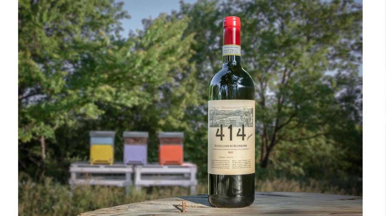 Podere 414, un’annata segnata dalle sfide climatiche