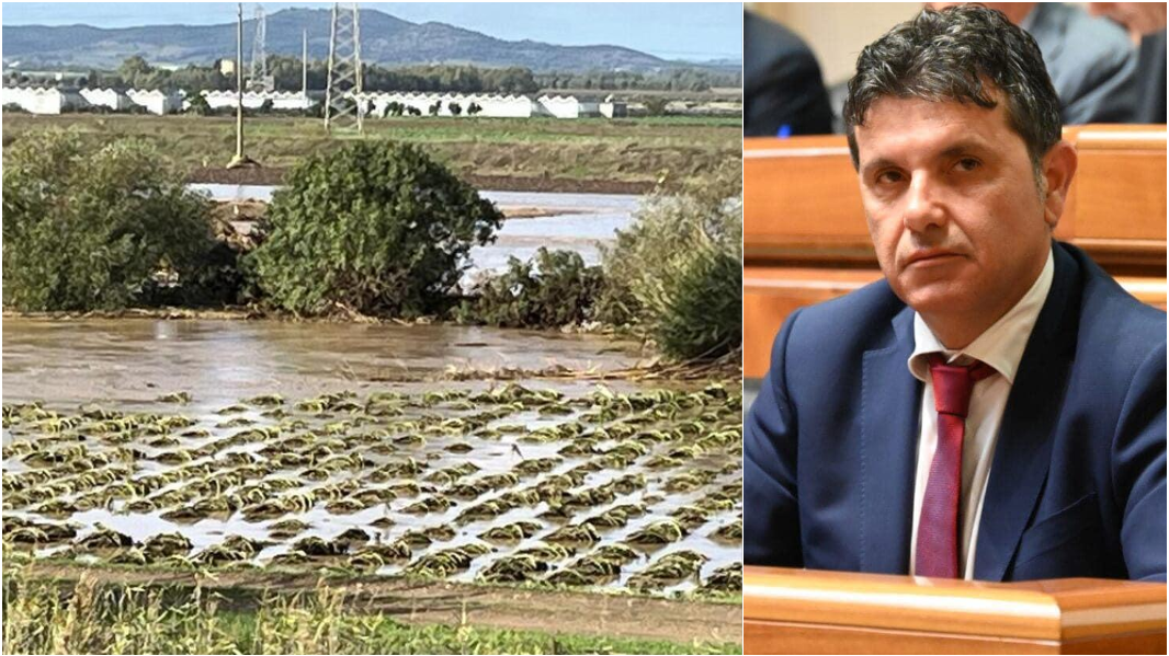 Alluvione in Sardegna, i danni nelle campagne vanno segnalati entro 10 giorni: ecco come fare