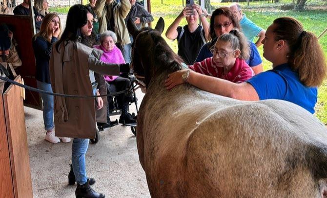 Cavalli e asini in fattoria: pet therapy per disabili e bambini a Ferrara