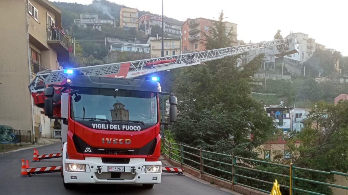 Albero pericolante al centro di Lanusei: intervengono i vigili