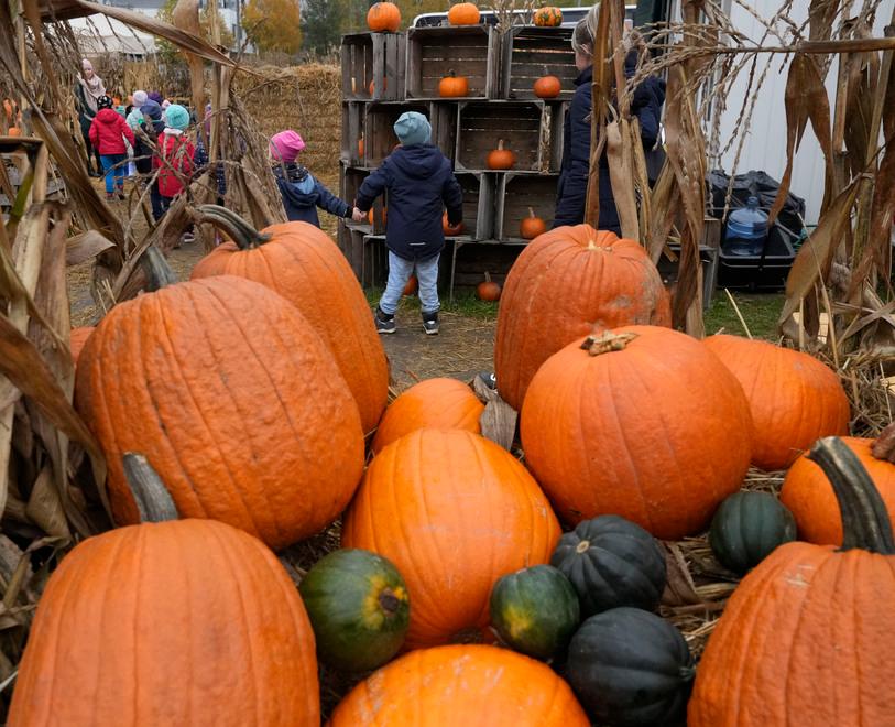 Cosa fare per Halloween a Modena: gli eventi per bambini e giovani in centro storico