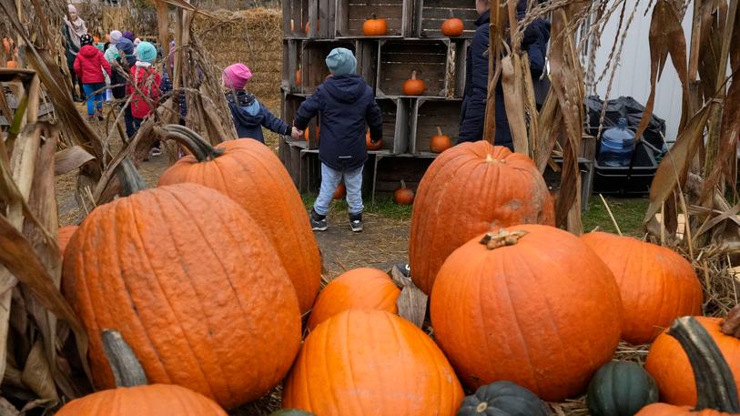 Cosa fare per Halloween a Modena: gli eventi per bambini e giovani in centro storico