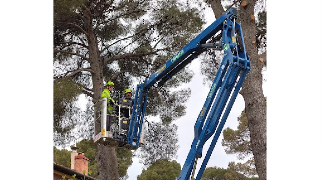 Logiros: Verde, turismo e industria i principali settori operativi