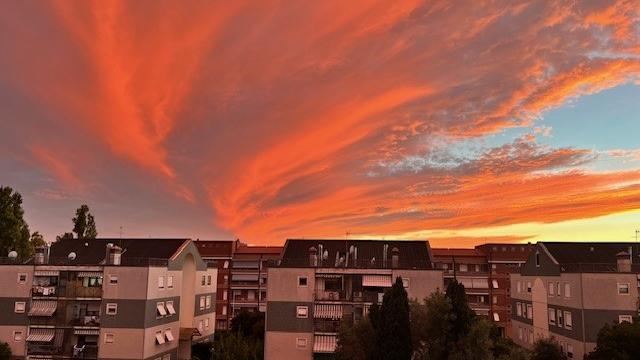Camera con vista. Alla Scopaia di Livorno. Grazie a Enrico Cavallini