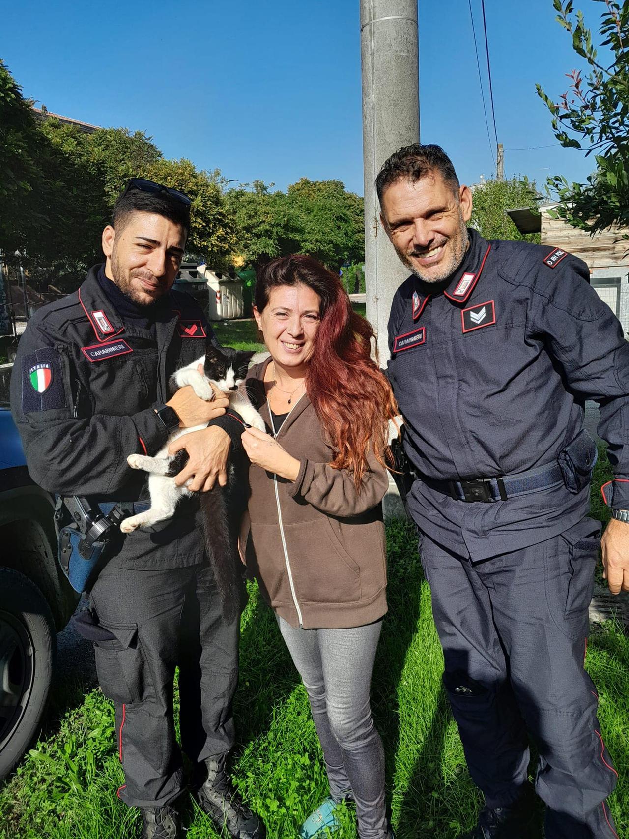 Il gatto Tuffolo ritrovato dopo due mesi: da Gualtieri è arrivato a Boretto