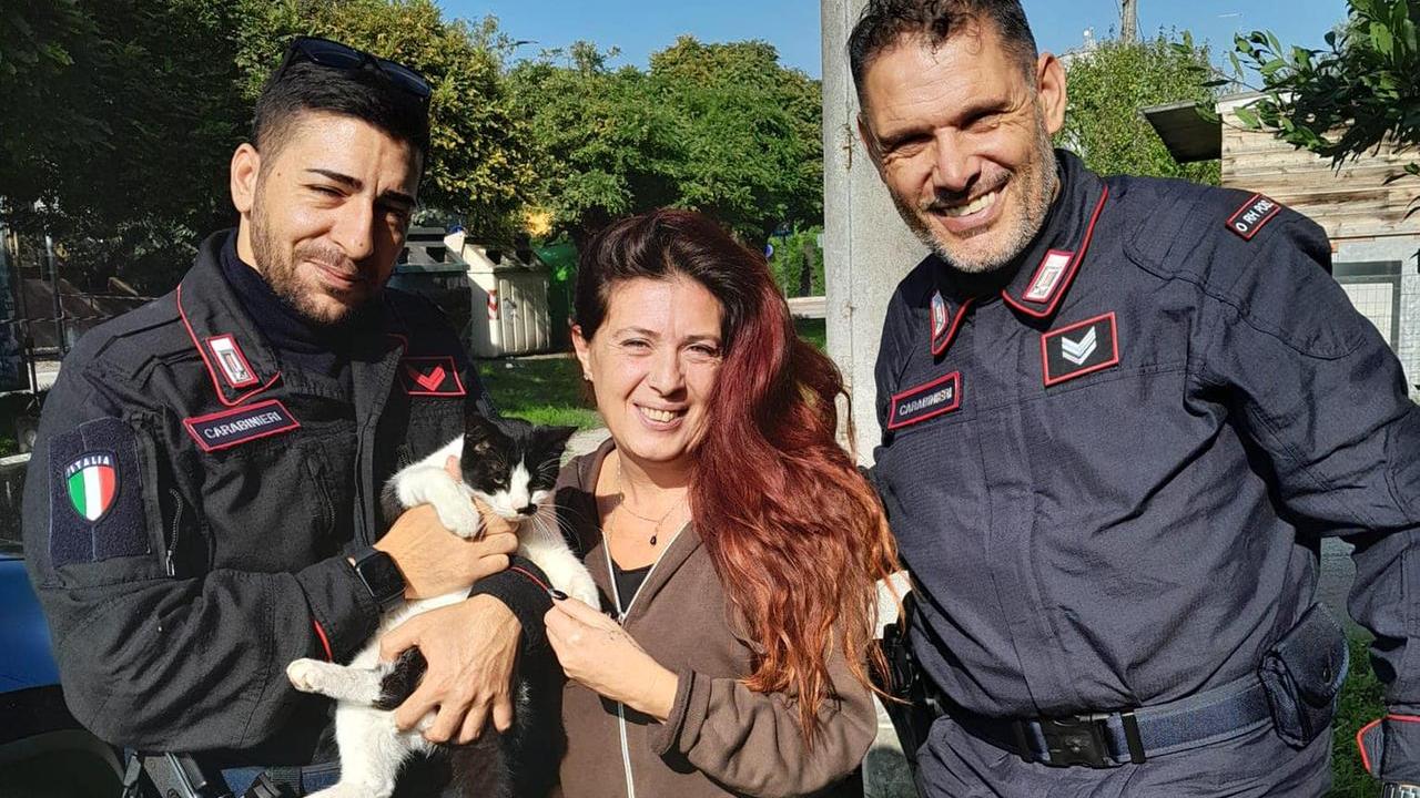 Il gatto Tuffolo ritrovato dopo due mesi: da Gualtieri è arrivato a Boretto