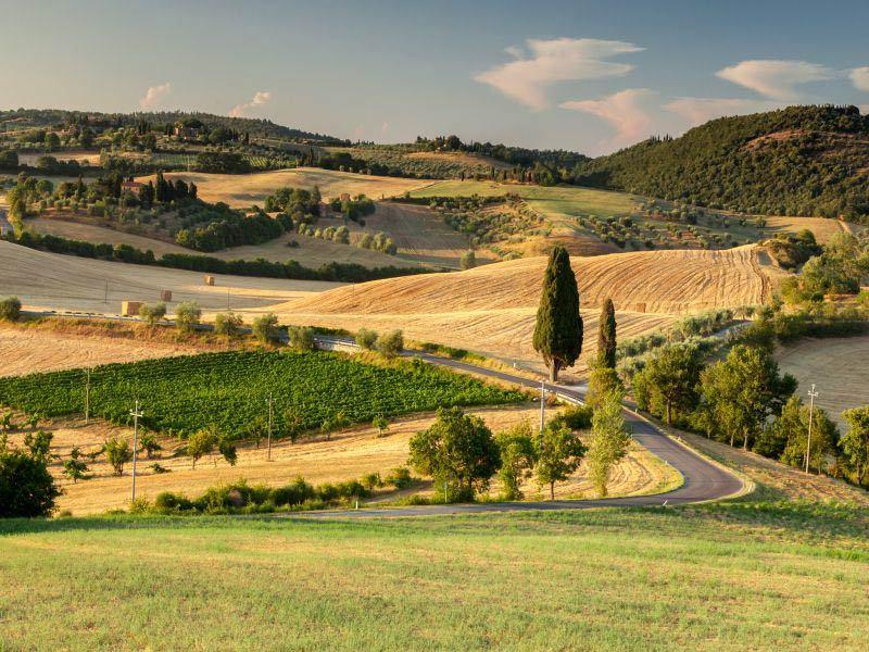 
	Una veduta della Val d'Orcia

