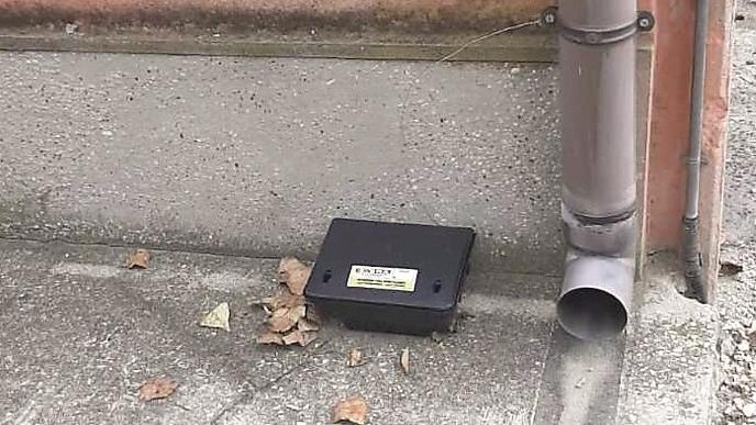 Ferrara, allarme topi: «21 nel mio garage in due mesi»