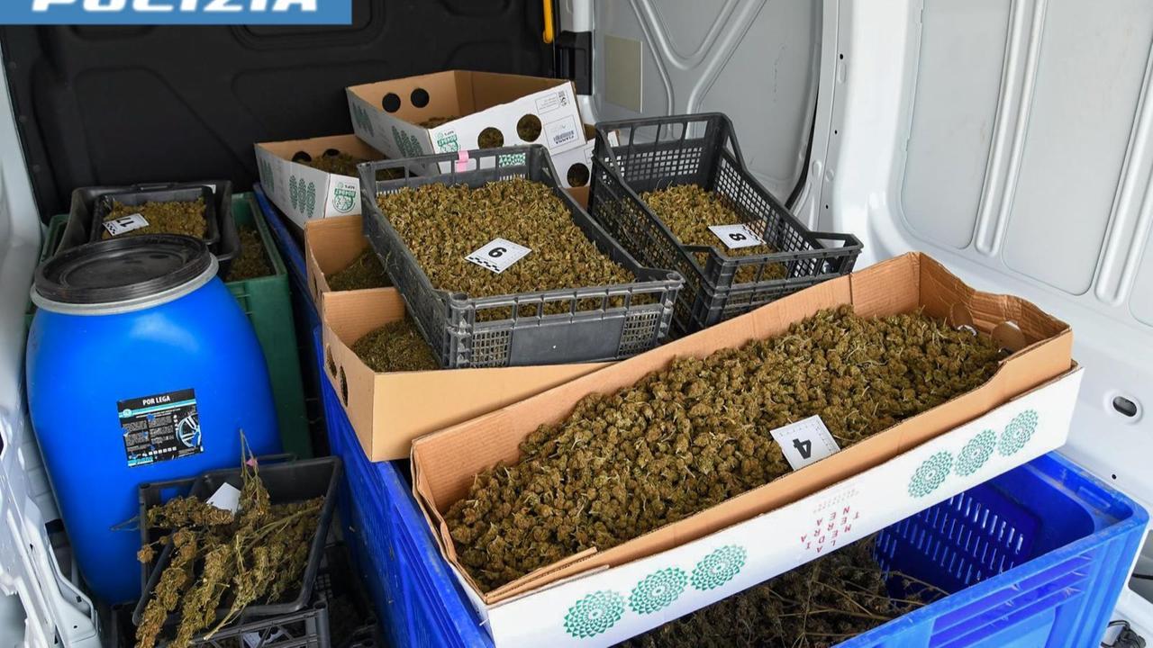 Oristano, producevano e spacciavano stupefacenti: sei denunciati