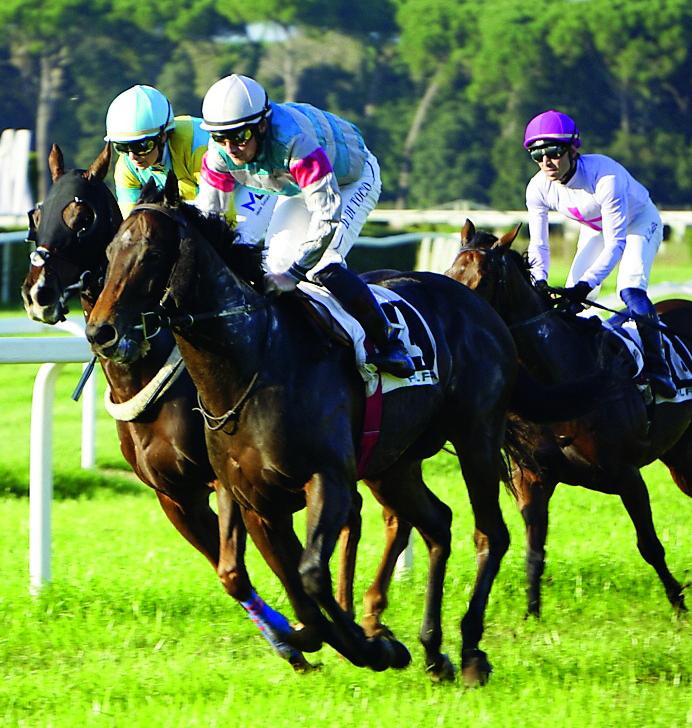 Il successo di Dario Di Tocco in sella a King of the Lions