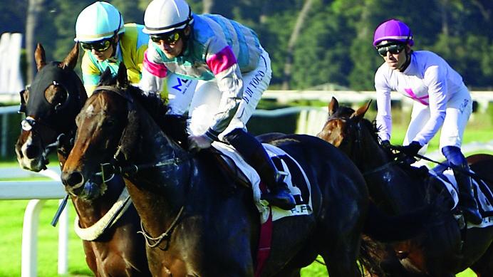 Il successo di Dario Di Tocco in sella a King of the Lions