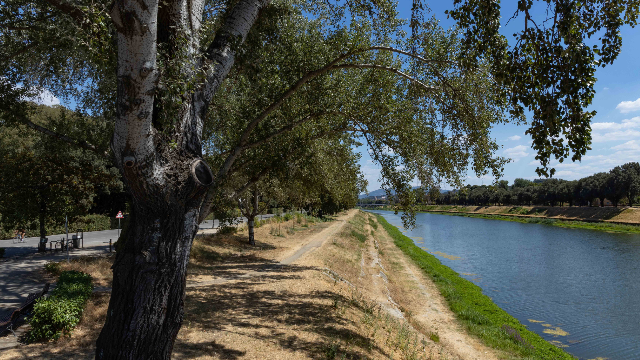 Una veduta delle Cascine