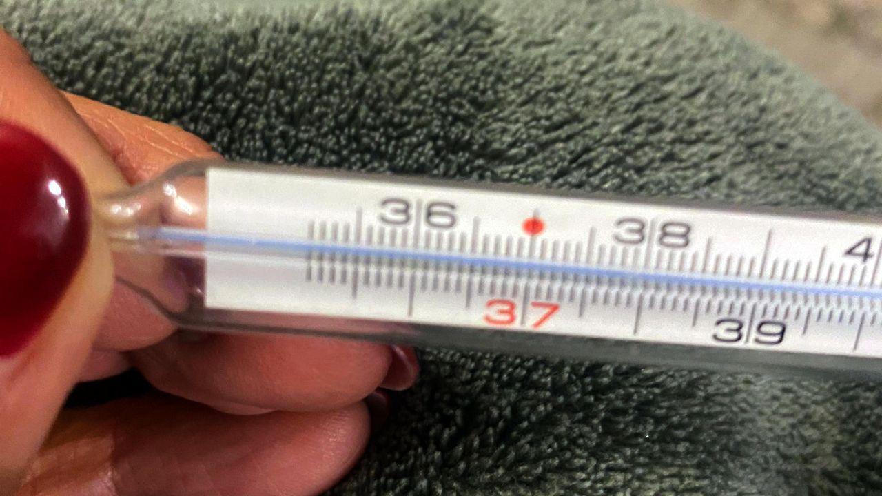 Preoccupa l'influenza australiana