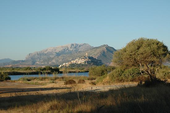 
	Uno scorcio dell'oasi di Orvile

