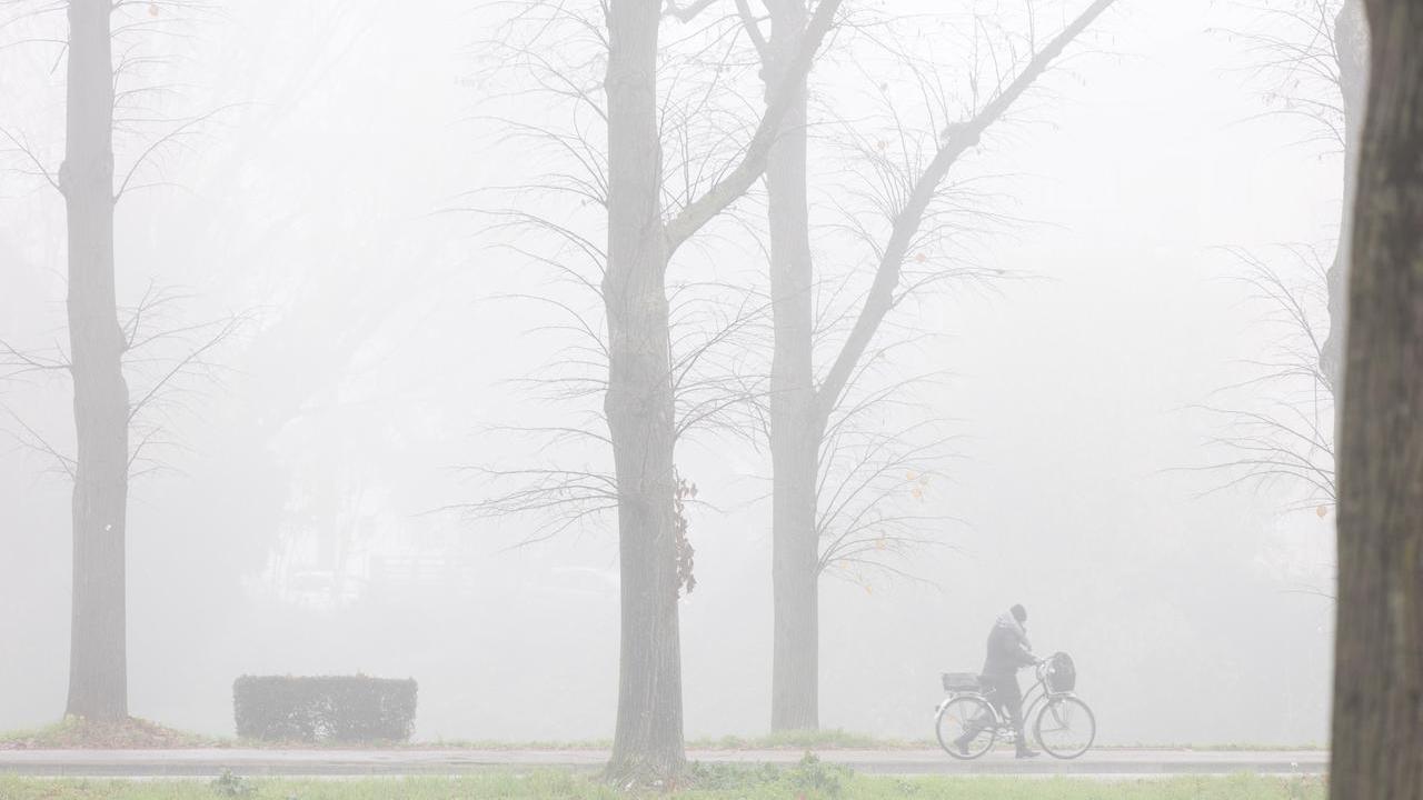 Ferrara, la nebbia ripulisce l’aria dallo smog